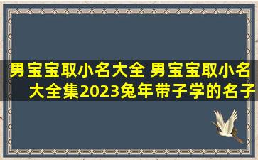 男宝宝取小名大全 男宝宝取小名大全集2023兔年带子学的名子